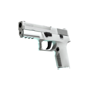 P250 | Whiteout (Factory New)