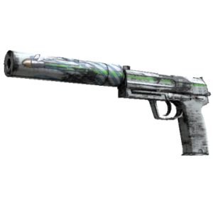 Souvenir USP-S | Road Rash (Factory New)
