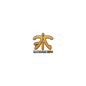 Sticker | Fnatic | Katowice 2014