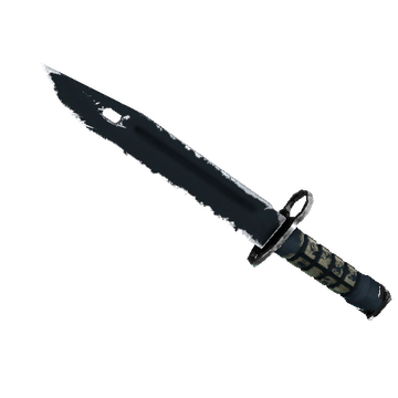 ★ Bayonet | Night (Field-Tested)