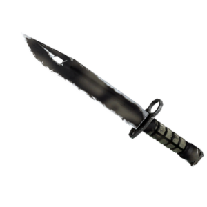 ★ Bayonet | Scorched (Field-Tested)