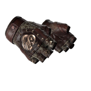 ★ Broken Fang Gloves | Needle Point (Factory New)