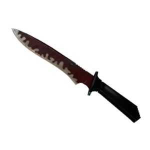 ★ Classic Knife | Crimson Web (Battle-Scarred)