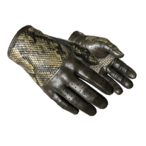 ★ Driver Gloves | Diamondback (Field-Tested)