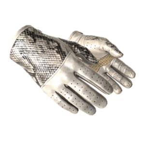 ★ Driver Gloves | King Snake (Minimal Wear)