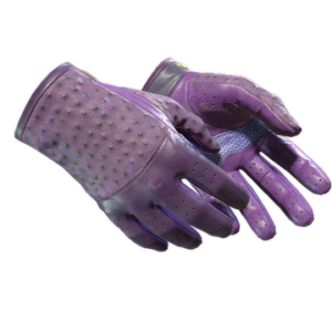 ★ Driver Gloves | Plum Quill (Field-Tested)