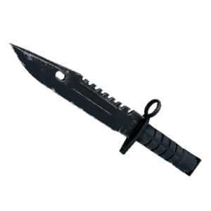 ★ M9 Bayonet | Night (Field-Tested)