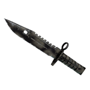 ★ M9 Bayonet | Scorched (Field-Tested)