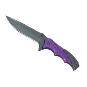 ★ Nomad Knife | Ultraviolet (Well-Worn)
