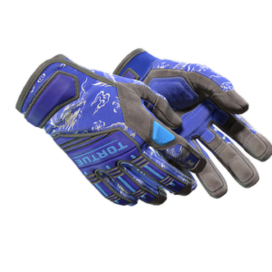 ★ Specialist Gloves | Cloud Chaser (Field-Tested)