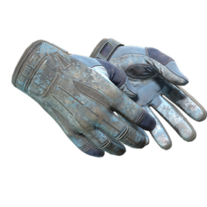 ★ Sport Gloves | Frosty (Battle-Scarred)
