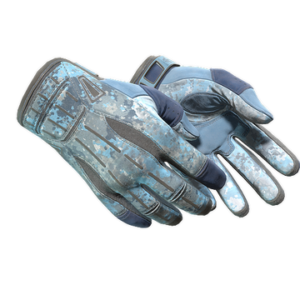★ Sport Gloves | Frosty (Well-Worn)
