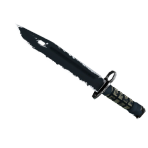 ★ StatTrak™ Bayonet | Night (Field-Tested)